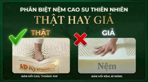 Cách nhận biết nệm Kymdan thật giả
