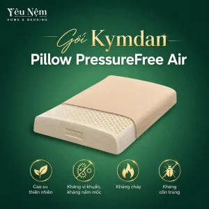 Đặc điểm Gối Kymdan Pillow PressureFree Air
