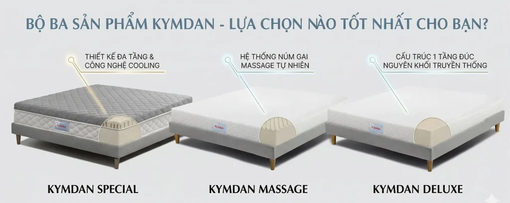 VỀ YÊU NỆM 3 3 dòng nệm chính của Kymdan tại yêu Nệm