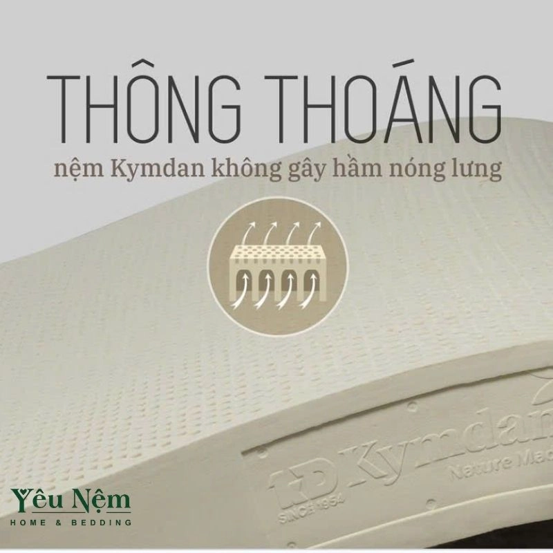Nệm Cho Phụ Nữ Sau Sinh Đau Lưng: Chọn Loại Nào Để Lưng Phục Hồi Nhanh? 7 Cấu trúc bọt hở của nệm Kymdan thông thoáng, không hầm nóng lưng suốt đêm