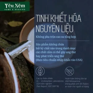Nệm Kymdan làm từ nguyên liệu tự nhiên tinh khiết