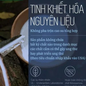 Nệm Kymdan Special Deluxe 100% cao su thiên nhiên