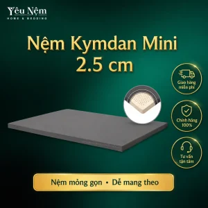 Nệm Kymdan Mini 2.5cm 2 Nệm Kymdan Mini 2.5cm cấu tạo