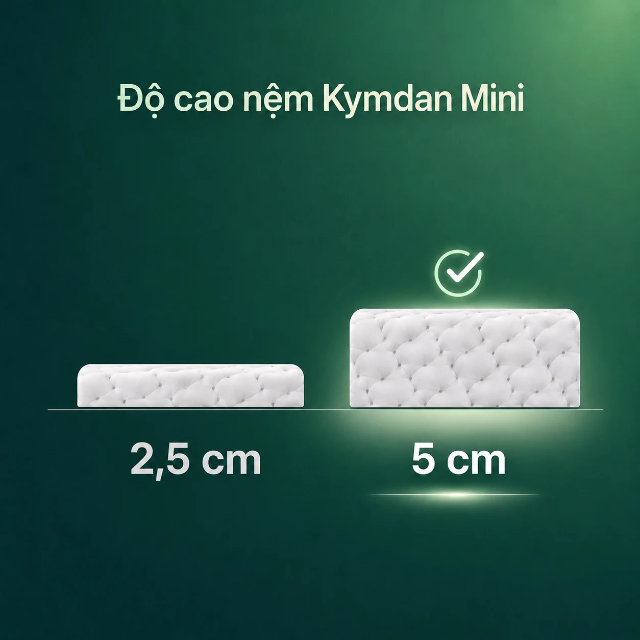 nem-kymdan-mini-5-cm-do-cao_result Nệm Kymdan Mini 2.5cm độ cao