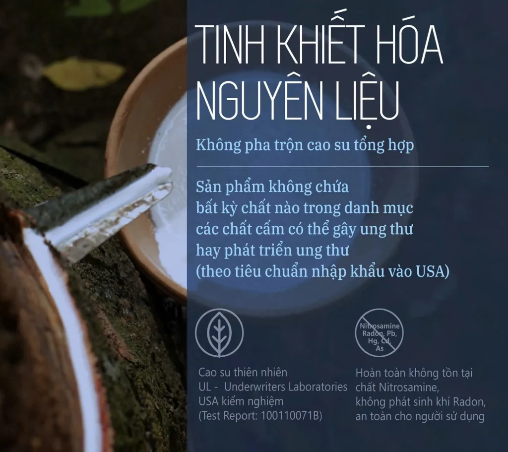 Nệm Kymdan Massage 6cm làm từ 100% cao su thiên nhiên