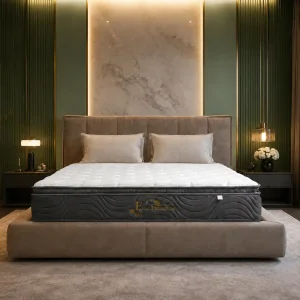 Nệm Lò Xo Cao Cấp Eco Premium Ecopillo