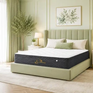 Nệm Lò Xo Cao Cấp Eco Premium Ecopillo