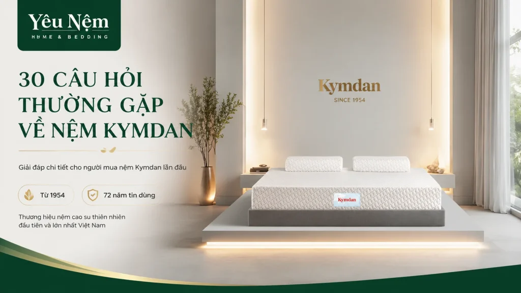 30 Câu Hỏi Thường Gặp Về Nệm Kymdan - Giải Đáp Đầy Đủ Nhất 1 30 Câu Hỏi Thường Gặp Về Nệm Kymdan - Giải Đáp Đầy Đủ Nhất