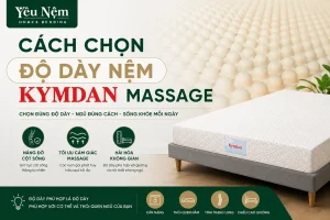 Điều 3 — Chọn nệm Massage là chọn độ dày và kích thước