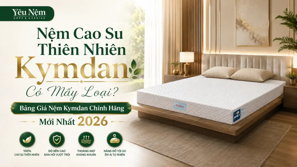 Nệm cao su Kymdan có mấy loại? Bảng giá mới nhất 2026