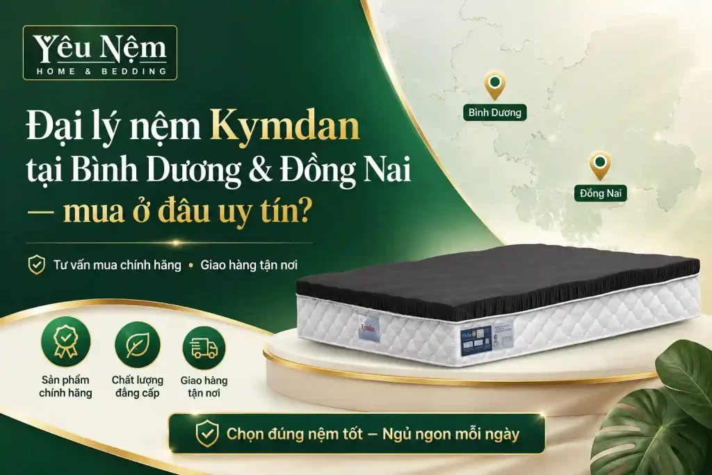 Đại lý nệm Kymdan tại Bình Dương & Đồng Nai — mua ở đâu uy tín? 1 Đại lý nệm Kymdan Bình Dương & Đồng Nai — mua ở đâu uy tín?