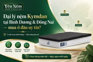Đại lý nệm Kymdan Bình Dương & Đồng Nai — mua ở đâu uy tín?