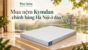 Mua nệm Kymdan chính hãng Hà Nội ở đâu? Địa chỉ showroom và bảng giá 2026