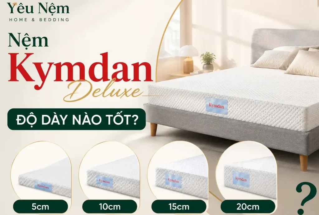 Nệm Kymdan Deluxe độ dày nào tốt: 5cm, 10cm, 15cm hay 20cm? 1 Nệm Kymdan Deluxe độ dày nào tốt