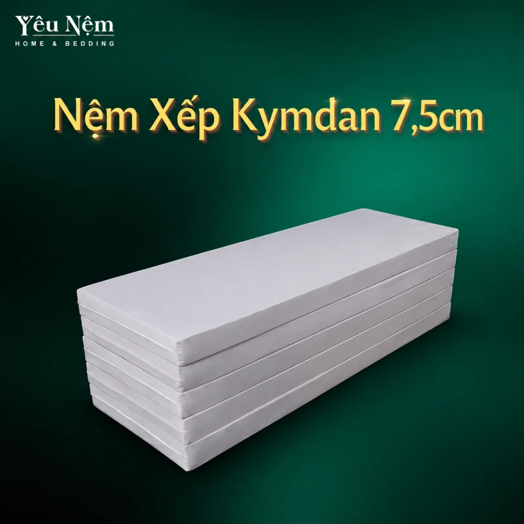 Nệm Xếp Kymdan 7,5cm 7 Nệm xếp Kymdan 7,5cm gấp gọn