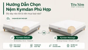 Hướng Dẫn Chọn Nệm Kymdan Phù Hợp: Độ Dày Nào Tốt & Nên Mua Loại Nào?