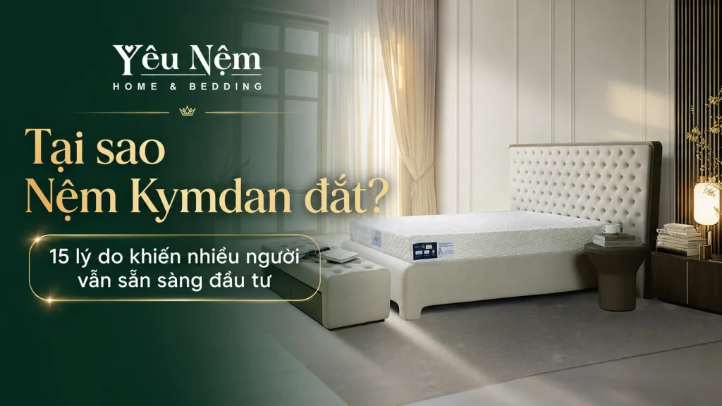 Tại sao Nệm Kymdan đắt? 15 lý do khiến nhiều người vẫn sẵn sàng đầu tư 1 Tại sao Nệm Kymdan đắt? 15 lý do khiến nhiều người vẫn sẵn sàng đầu tư