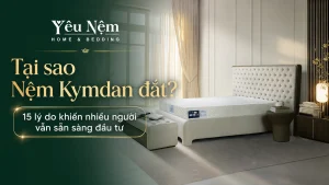 Tại sao Nệm Kymdan đắt? 15 lý do khiến nhiều người vẫn sẵn sàng đầu tư