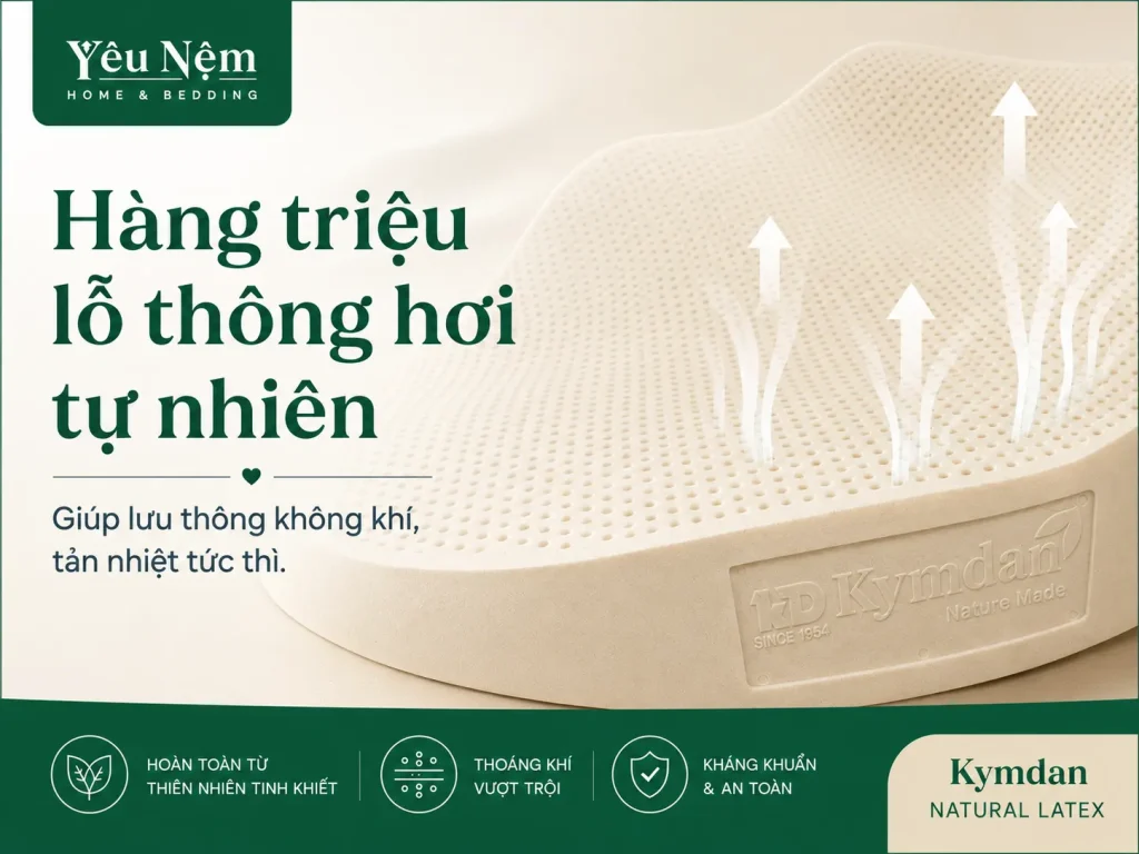 Nệm Kymdan Quận 11 TP.HCM — Giao Trong 24H, Chính hãng 100% 10 Nệm Kymdan thoáng khí, không hầm bí