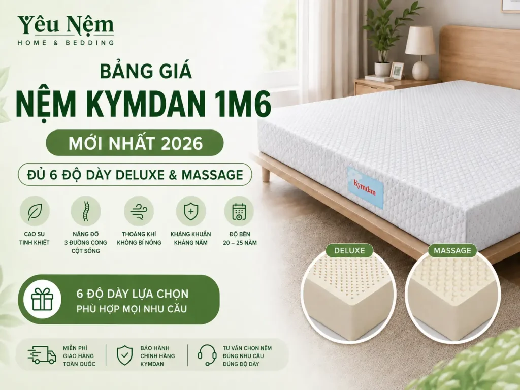 Bảng Giá Nệm Kymdan 1m6 Mới Nhất 2026: Đủ 6 Độ Dày Deluxe & Massage 1 Bảng Giá Nệm Kymdan 1m6 Mới Nhất 2026: Đủ 6 Độ Dày Deluxe & Massage