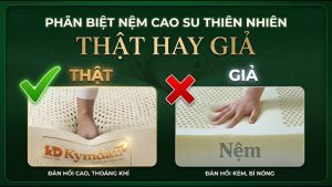Cách Nhận Biết Nệm Kymdan Thật Giả Tại Hà Nội, Quảng Ninh