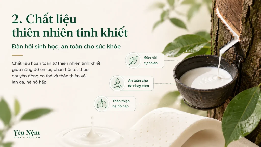 Nệm Tốt Cho Người Đau Lưng — 5 Tiêu Chí Vàng Để Chọn Đúng 5 Chất liệu thiên nhiên tinh khiết