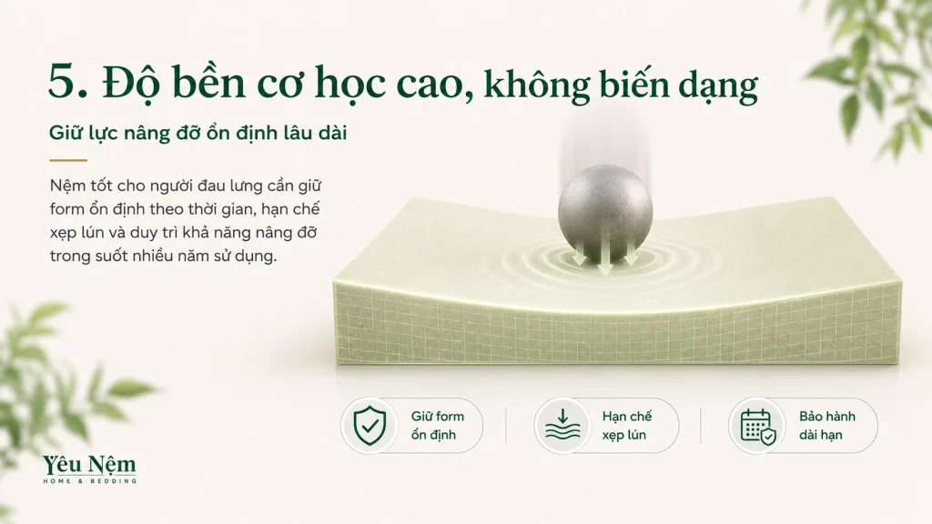 Nệm Tốt Cho Người Đau Lưng — 5 Tiêu Chí Vàng Để Chọn Đúng 8 5. Độ bền cơ học cao, không biến dạng