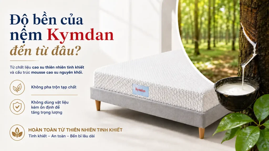 Nệm Kymdan được làm từ cao su thiên nhiên tinh khiết