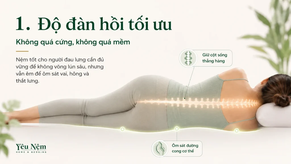 Nệm Tốt Cho Người Đau Lưng — 5 Tiêu Chí Vàng Để Chọn Đúng 4 1. Độ đàn hồi tối ưu (Không quá cứng, không quá mềm)