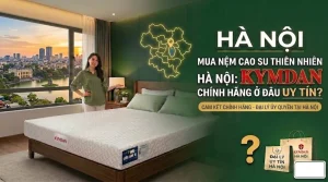 Hà Nội mua nệm Kymdan chính hãng ở đâu uy tín để tránh hàng giả và đảm bảo quyền lợi bảo hành?