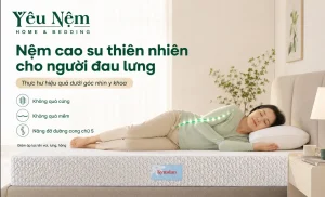 Nệm cao su thiên nhiên cho người đau lưng — Thực hư hiệu quả dưới góc nhìn y khoa