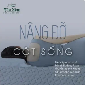 Nệm kymdan nâng đỡ cột sống tối ưu