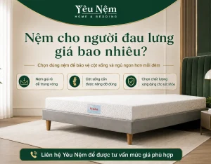 Nệm cho người đau lưng giá bao nhiêu? Đừng mua rẻ rồi hối hận! [2026]