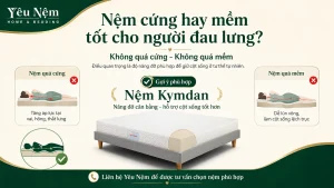 Nệm cứng hay mềm tốt cho người đau lưng? Cả 2 đều có thể sai!