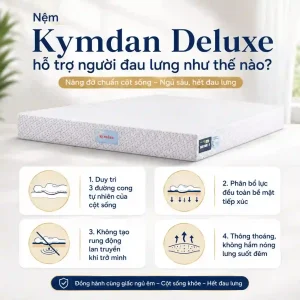 nem kymdan deluxe cho nguoi dau lung 2 result