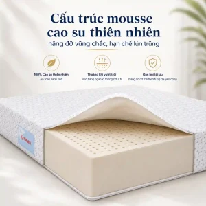 nem kymdan deluxe cho nguoi dau lung 3 result