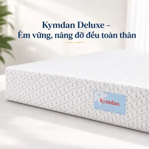 nem kymdan deluxe cho nguoi dau lung 5 result