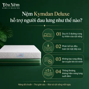nem kymdan deluxe cho nguoi thoai hoa cot song 4 result