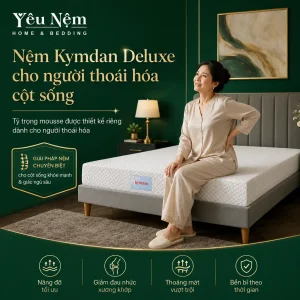nem kymdan deluxe cho nguoi thoai hoa cot song 6 result