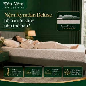 nem kymdan deluxe cho nguoi thoai hoa cot song 7 result