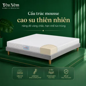 nem kymdan deluxe cho nguoi thoai hoa cot song 8 result