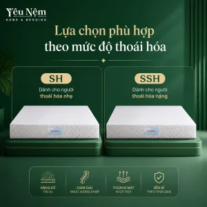 nem kymdan deluxe cho nguoi thoai hoa cot song result
