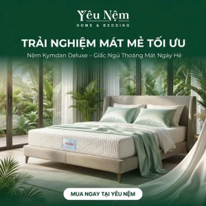nem kymdan deluxe cho nguoi thoai hoa cot song result 1