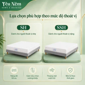 Nệm Kymdan Deluxe SH cho người Thoái hóa cột sống nhẹ - trung bình