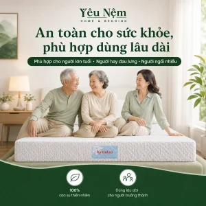 nem kymdan massage cho nguoi dau lung 11 result