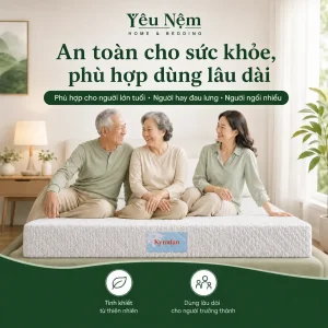 nem kymdan massage cho nguoi dau lung 2 result 1