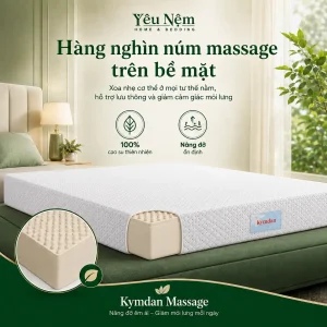 nem kymdan massage cho nguoi dau lung 5 result