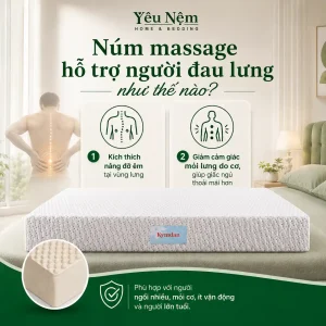 nem kymdan massage cho nguoi dau lung 7 result