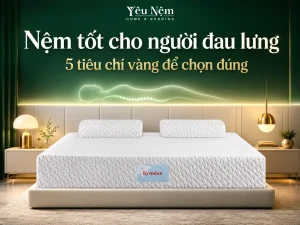 Nệm tốt cho người đau lưng — 5 tiêu chí vàng để chọn đúng