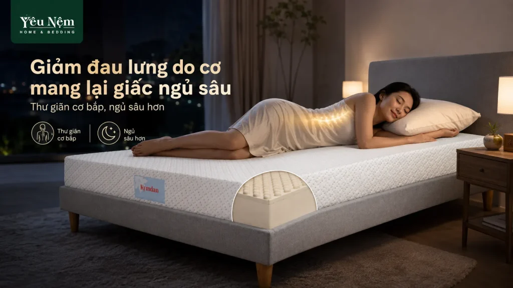 Núm massage phát huy tác dụng tối đa đối với các chứng đau lưng do cơ căng, mỏi cơ sau một ngày dài ngồi làm việc